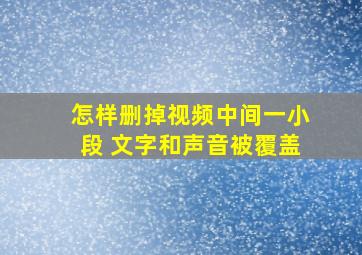 怎样删掉视频中间一小段 文字和声音被覆盖